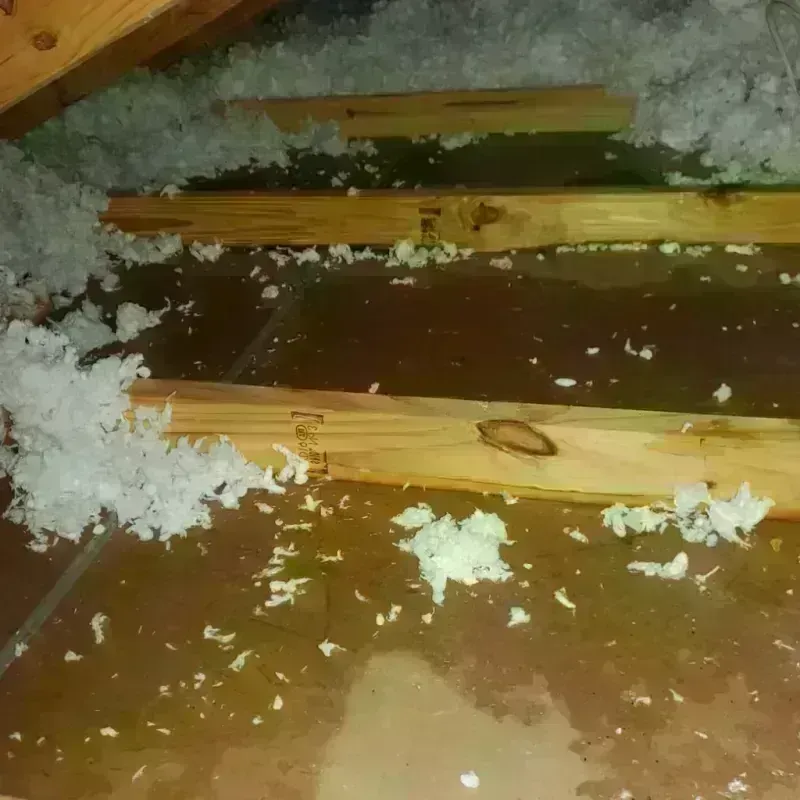 Best Attic Water Damage Service in Scott City, KS