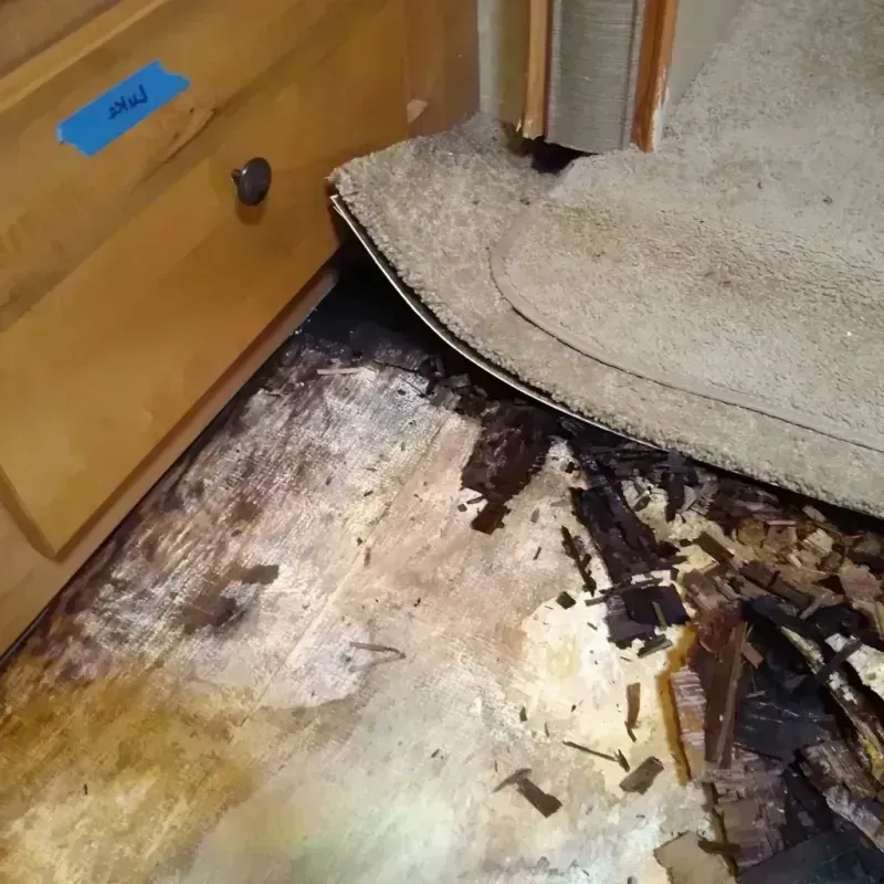 Best Wood Floor Water Damage Service in Scott City, KS